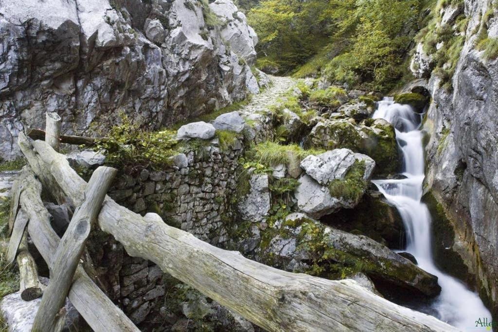 Los Molinos - Atico En Montana De Asturias Felechosa Esterno foto