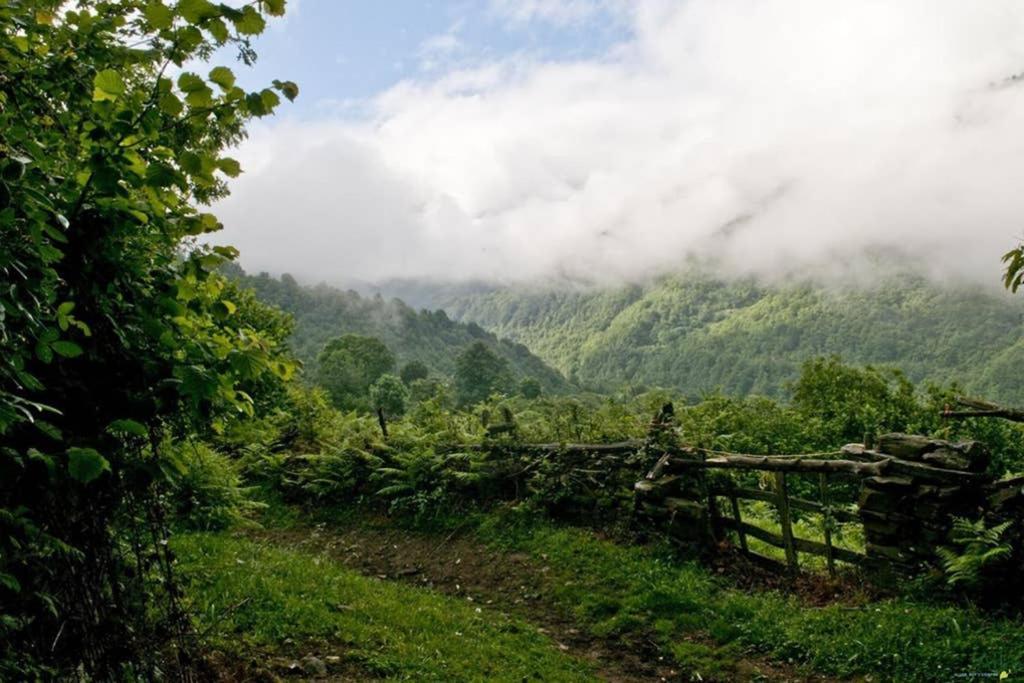 Los Molinos - Atico En Montana De Asturias Felechosa Esterno foto