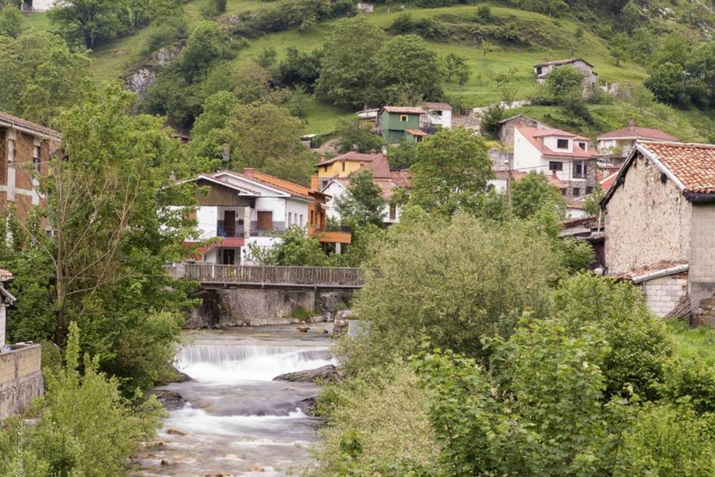 Los Molinos - Atico En Montana De Asturias Felechosa Esterno foto