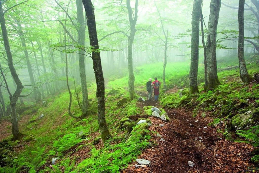 Los Molinos - Atico En Montana De Asturias Felechosa Esterno foto