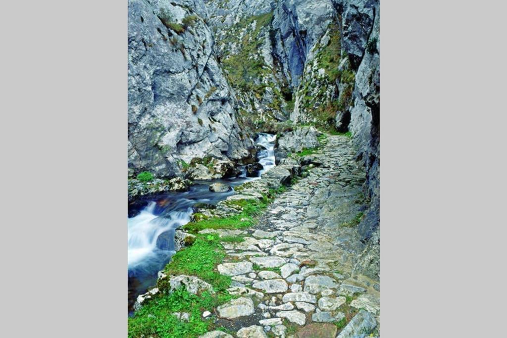 Los Molinos - Atico En Montana De Asturias Felechosa Esterno foto