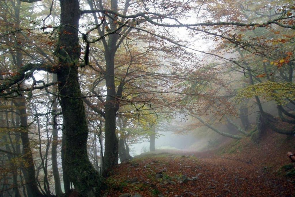 Los Molinos - Atico En Montana De Asturias Felechosa Esterno foto