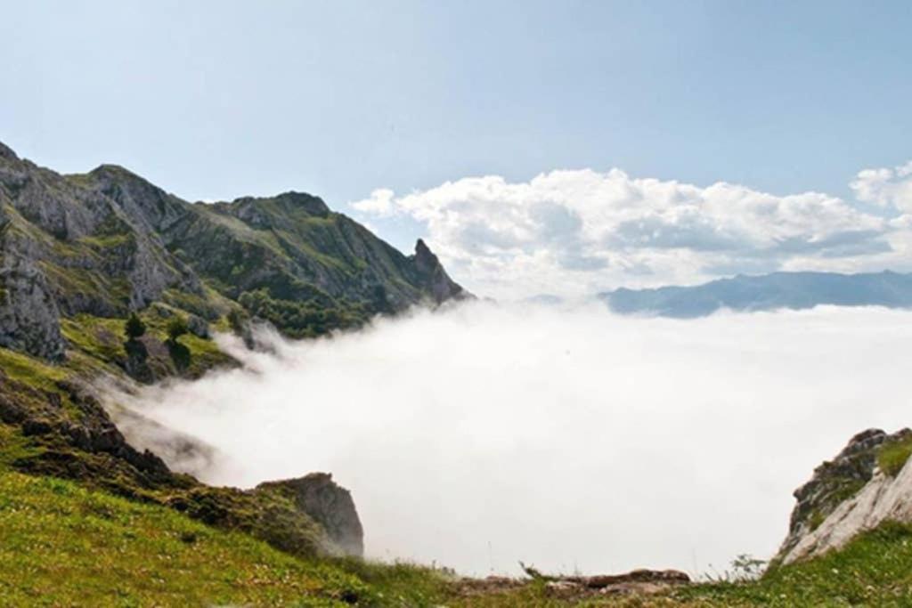 Los Molinos - Atico En Montana De Asturias Felechosa Esterno foto